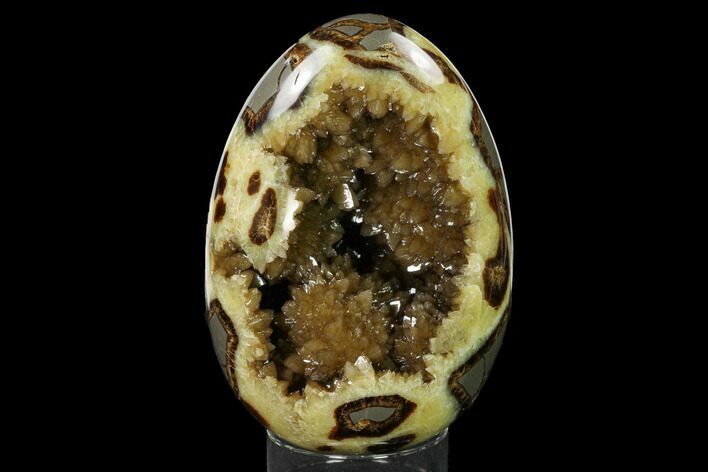 Lustrous, Calcite Crystal Filled Septarian Geode Egg - Utah #170021